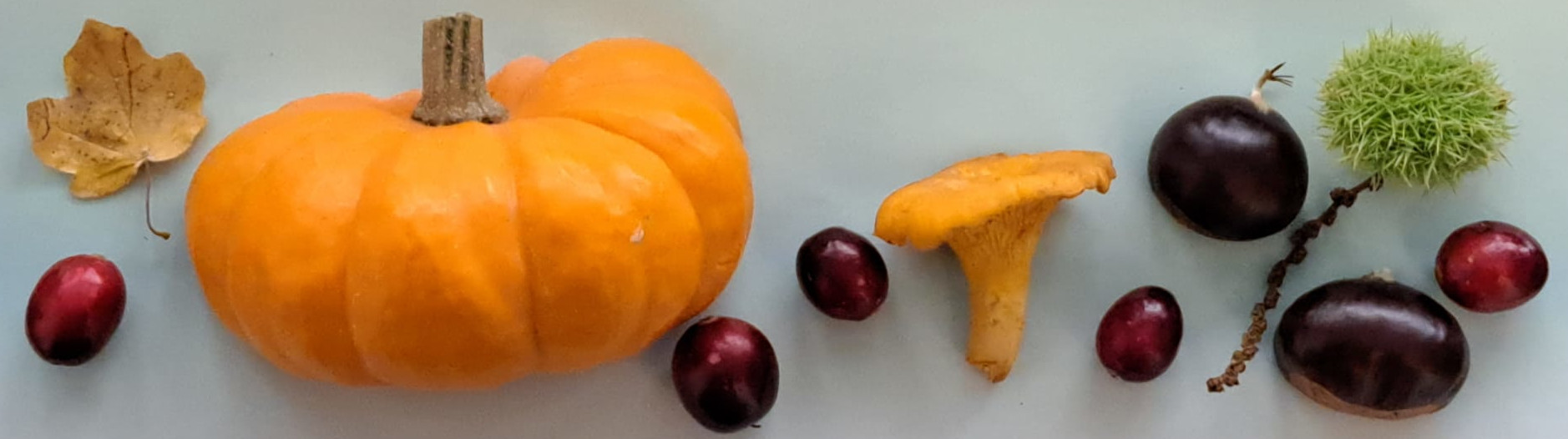 cuisine fusion, menu automne